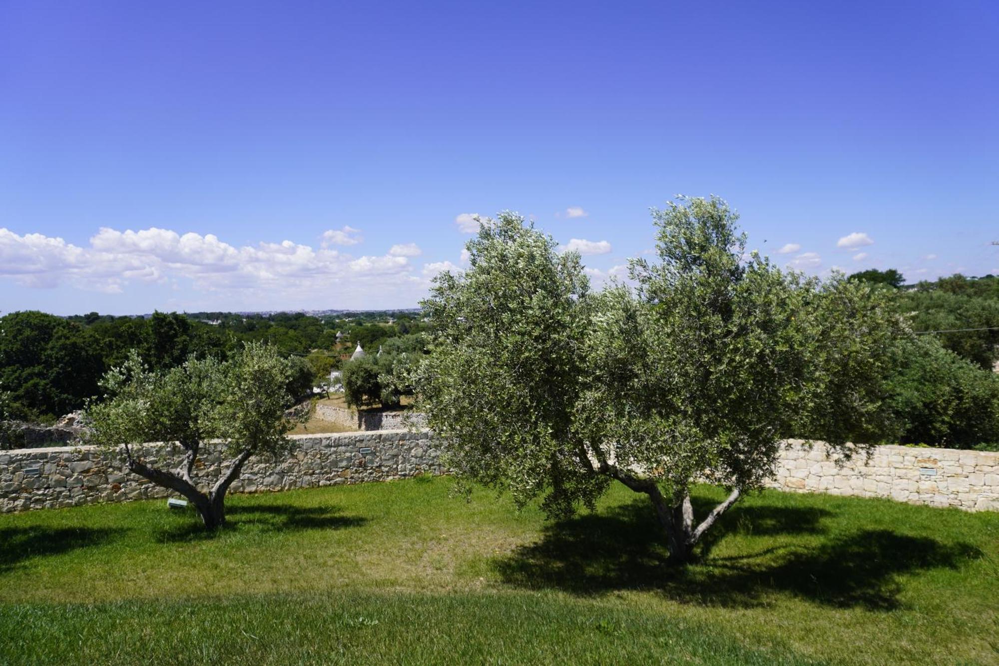Trullo Amico Villa Cisternino Exterior foto