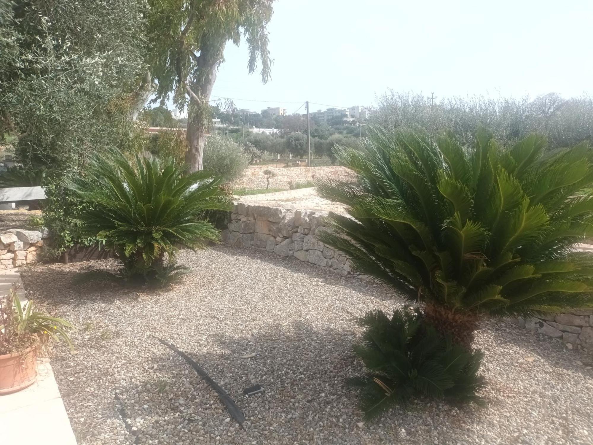 Trullo Amico Villa Cisternino Exterior foto